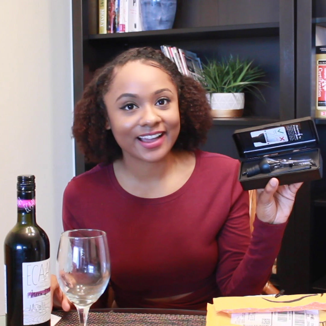 How to Use the Vintorio Wine Aerator Pourer: Carrying Case